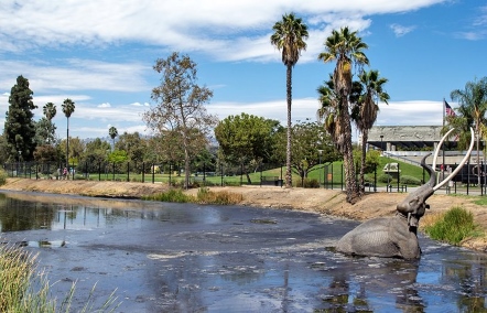 La Brea Tar Pits and Museum