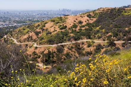Runyon Road