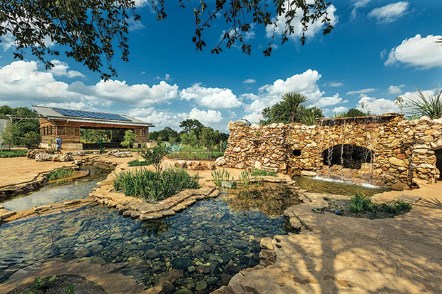 Lady Bird Johnson Wildflower Center